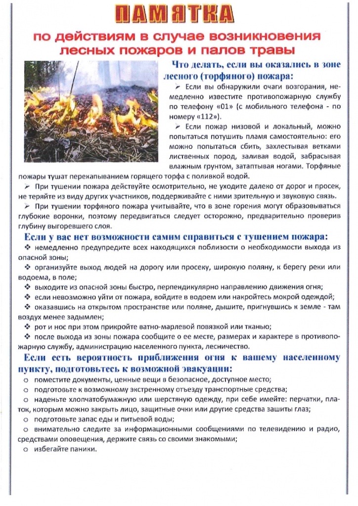 Изображения.