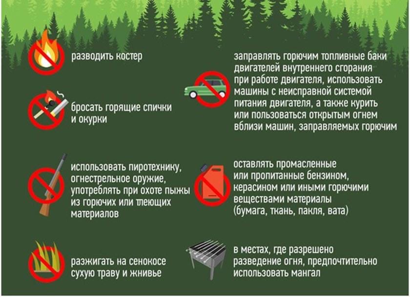 Изображения.