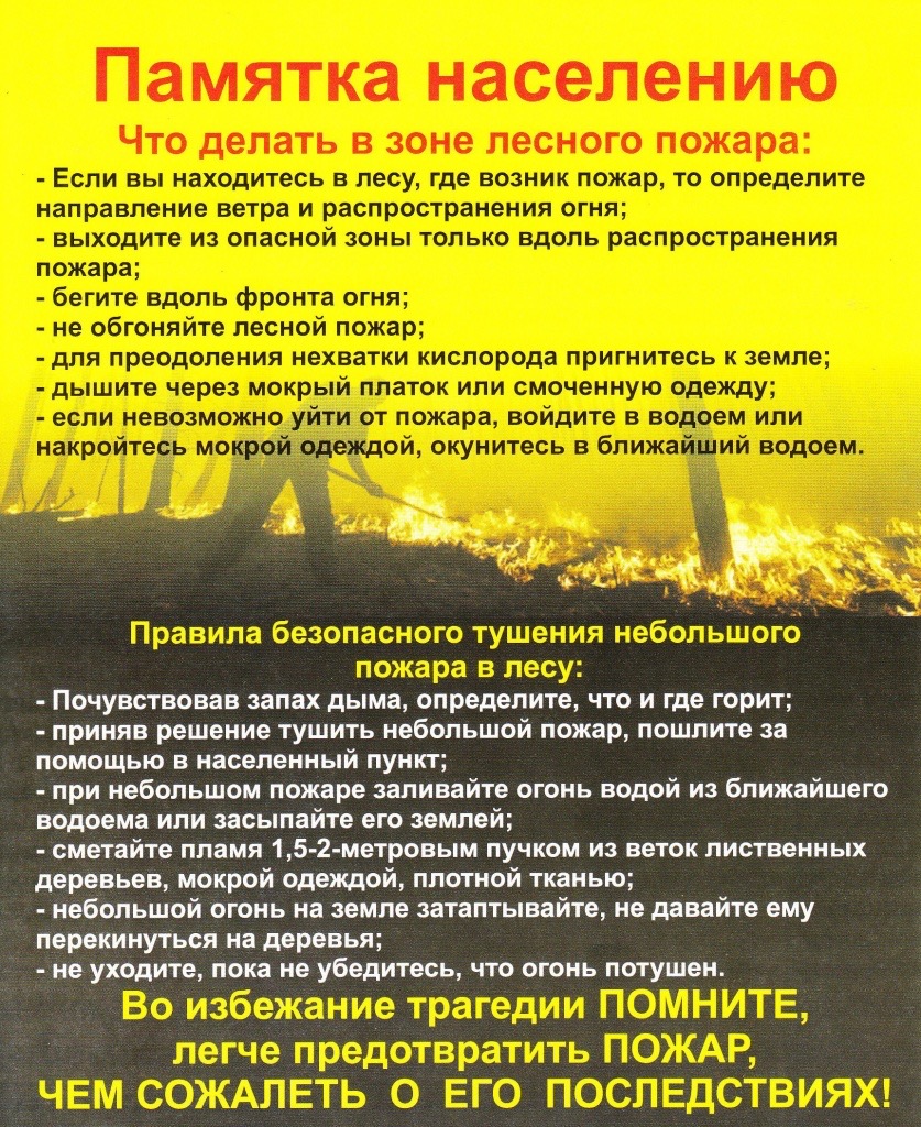 Изображения.